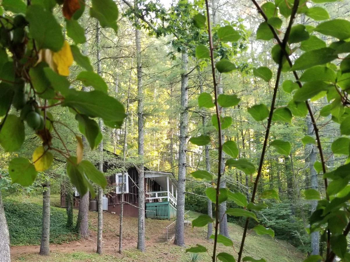 The Cabins At Healing Springs Crumpler Екстер'єр фото