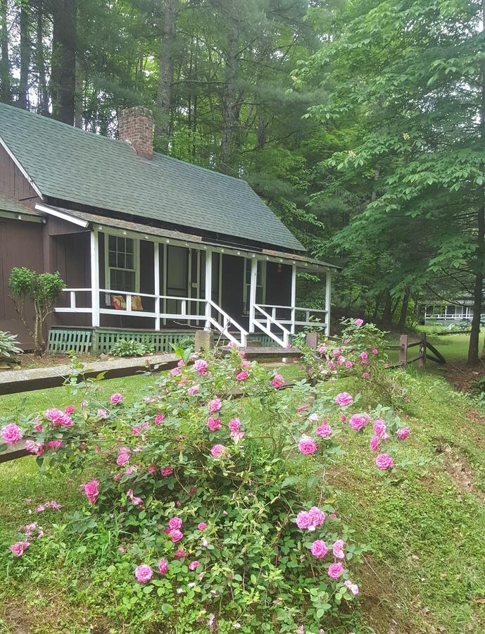 The Cabins At Healing Springs Crumpler Екстер'єр фото